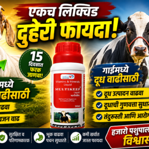 Multikeep 500ml